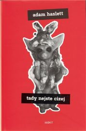Tady nejste cizej - Adam Haslett - Romány Tady nejste cizej