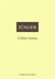Chůze lesem
