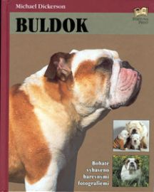 Buldok 