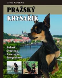 Pražský krysařík