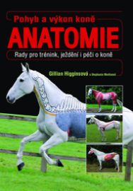 Pohyb a výkon koně - Anatomie