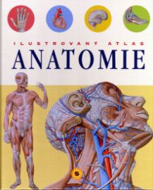 Ilustrovaný atlas anatomie