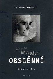Věci viděné, neviděné, obscénní - Jak se díváme