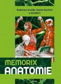 Memorix anatomie