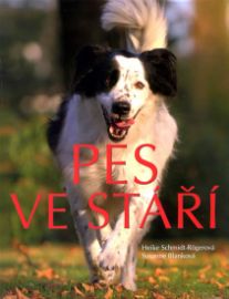 Pes ve stáří