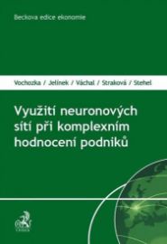 Využití neuronových sítí při komplexním 