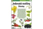 Jedovaté rostliny Dřeviny - Naučná karta