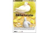 Ošklivé kačátko - Naučná karta