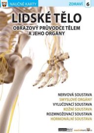 Lidské tělo 2 - Naučné karty