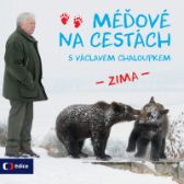 Méďové na cestách ZIMA