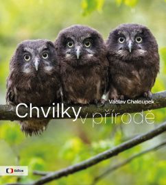 Chvilky v přírodě