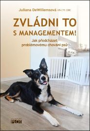 Zvládni to s managementem! - Juliana DeWillems - Management Zvládni to s managementem!