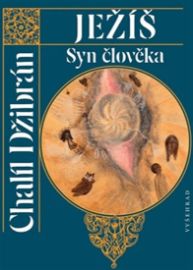 Ježíš, Syn člověka