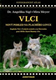 Vlci - Nový pohled na plachého lovce
