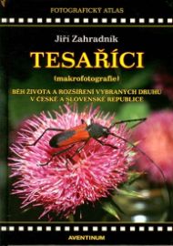 Tesaříci (makrofotografie)