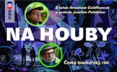 Na houby s Arnoštem Goldflamem - Pavel Jirásek,Arnošt Goldflam,Josef Polášek - Hobby Na houby
