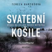 CD Svatební košile () - audiokniha