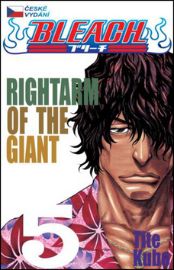 Bleach 5