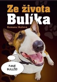 Ze života Bulíka