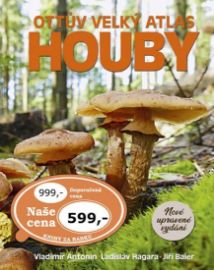 Ottův velký atlas - Houby