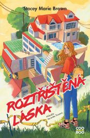 Roztříštěná láska