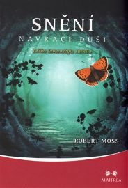 Snění navrací duši - Léčba šamanským sněním