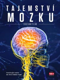 Tajemství mozku srozumitelně