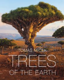 Trees of the Earth - Tomáš Míček,Hubert Čížek,Hans Torwesten - Knihy o módě, umění a designu v angličtině Trees of the Earth