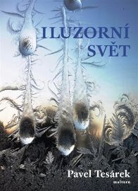 Iluzorní svět