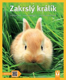 Zakrslý králík: Správná péče, rady odborníků, také pro začátečníky  - Jak na to