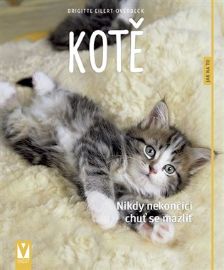 Kotě - Jak na to?