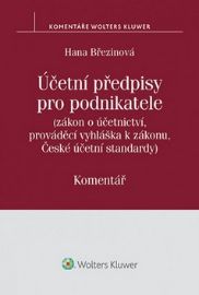 Účetní předpisy pro podnikatele: Komentář