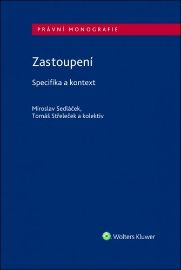 Zastoupení - Specifika a kontext