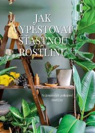 Nejznámější pokojové rostliny - Nejznámější pokojové rostliny