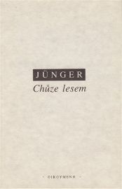 Chůze lesem