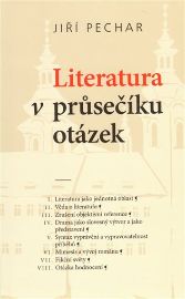 Literatura v průsečíku otázek