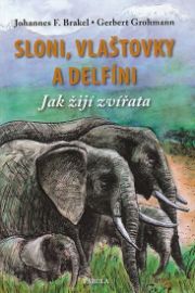 Sloni, vlaštovky a delfíni - Jak žijí zvířata