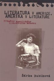 Literatura v Americe, Amerika v literatuře