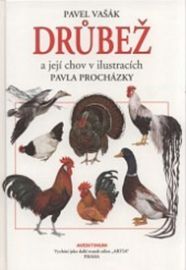 Drůbež a její chov