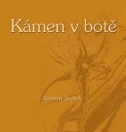 Kámen v botě