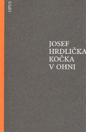 Kočka v ohni