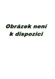 Hlazení duše (v anglickém jazyce)