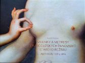 Milenky a metresy francouzských panovníků starého režimu - Jejich osudy, rodiny, sídla