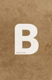 Bible, překlad 21. století XL (2021) - Křesťanství Bible21 XL