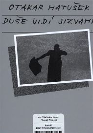 Duše vidí jizvami
