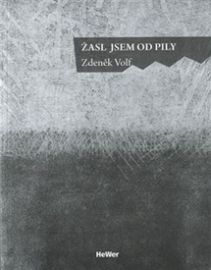 Žasl jsem od pily