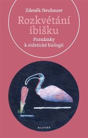 Rozkvétání ibišku