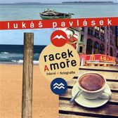 Racek a moře