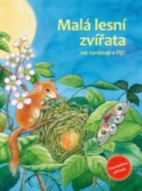 Malá lesní zvířata - Jak vyrůstají a žijí?