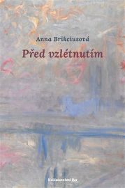 Před vzlétnutím